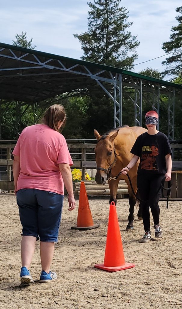 A youth leading a horse through a course under the guidance of a facilitator