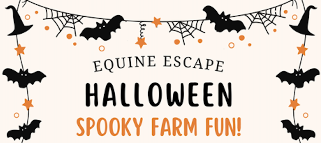 The words "Equine Escape Halloween Spooky Farm Fun!" surrounded by bats, stars, witches hats and spiderwebs.